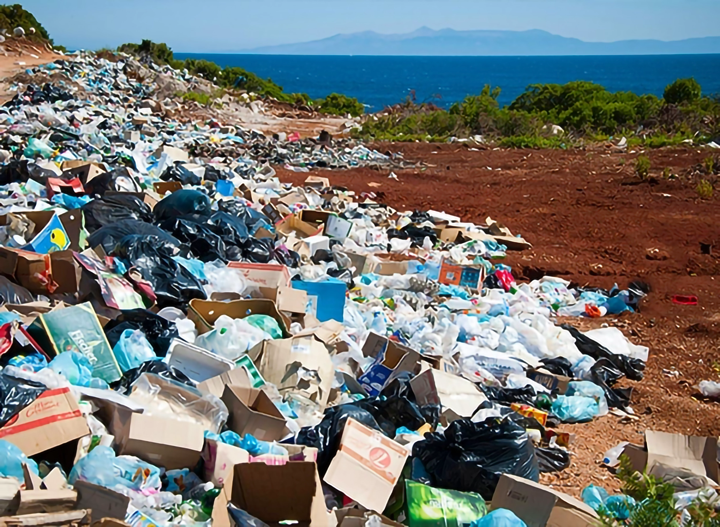 services-solid-waste-management